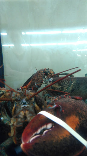 Grocery Store «Food Lion», reviews and photos, 1720 N Croatan Hwy, Kill Devil Hills, NC 27948, USA