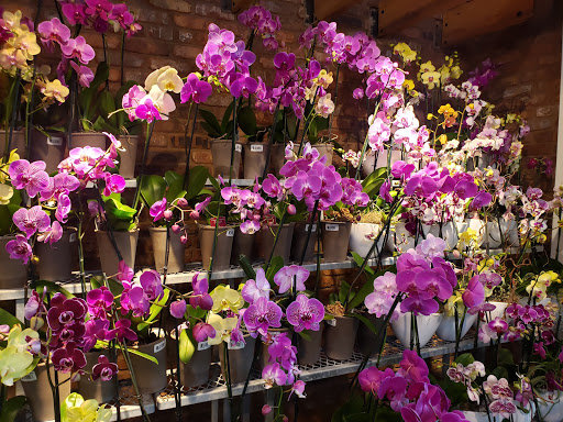 Grocery Store «Whole Foods Market», reviews and photos, 1566 W McEwen Dr, Franklin, TN 37067, USA