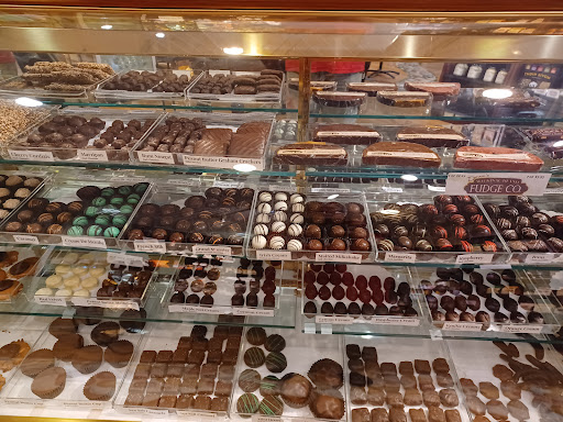 Book Store «Read Between the Lynes», reviews and photos, 111 E Van Buren St, Woodstock, IL 60098, USA