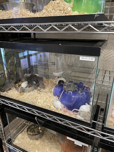 Pet Store «Alley Cat Pet Center», reviews and photos, 8700 NE Vancouver Mall Dr, Vancouver, WA 98662, USA