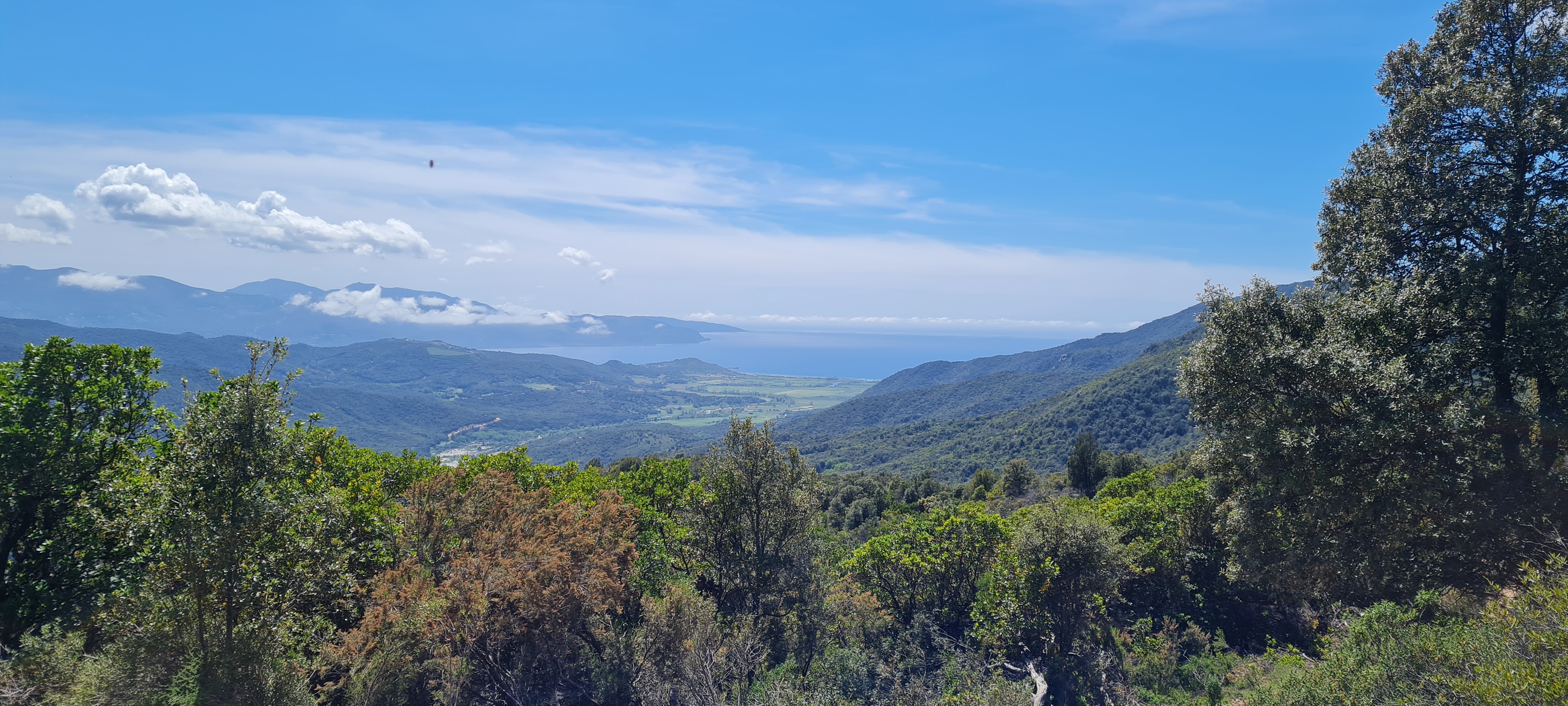 Photo n° 3 de l'avis de veronique.o fait le 27/04/2023 à 15:08
