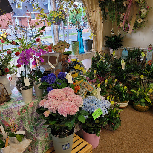 Florist «Jonathans Weddings & Flowers», reviews and photos, 4 E Jarrettsville Rd, Forest Hill, MD 21050, USA