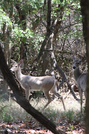 Chandler Park - photo 38