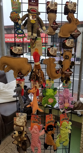 Pet Supply Store «Animal Krackers Inc», reviews and photos, 232 Main St, Gloucester, MA 01930, USA
