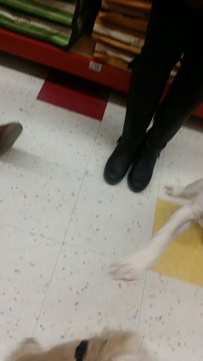 Pet Supply Store «Petco Animal Supplies», reviews and photos, 2373 W Ridge Rd, Greece, NY 14626, USA