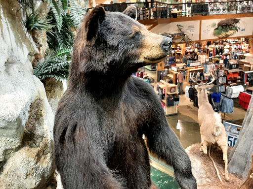 Sporting Goods Store «Bass Pro Shops», reviews and photos, 10040 Gulf Center Dr, Fort Myers, FL 33913, USA
