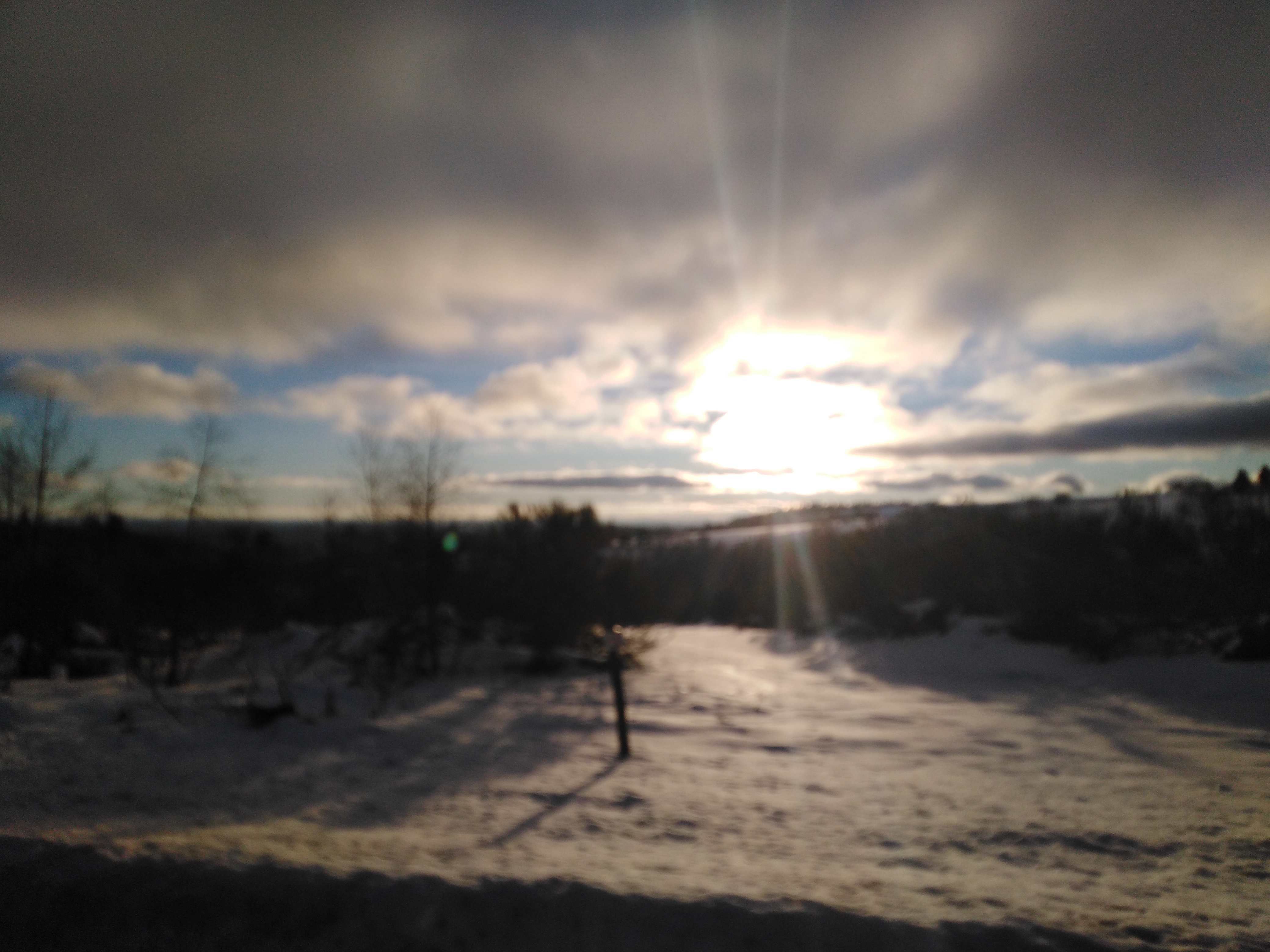 Photo n° 1 de l'avis de L.u fait le 01/03/2019 à 09:48