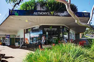 Anthony's Chickens image