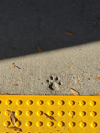 Pet Supply Store «Petco Animal Supplies», reviews and photos, 26 Coliseum Crossing, Hampton, VA 23666, USA