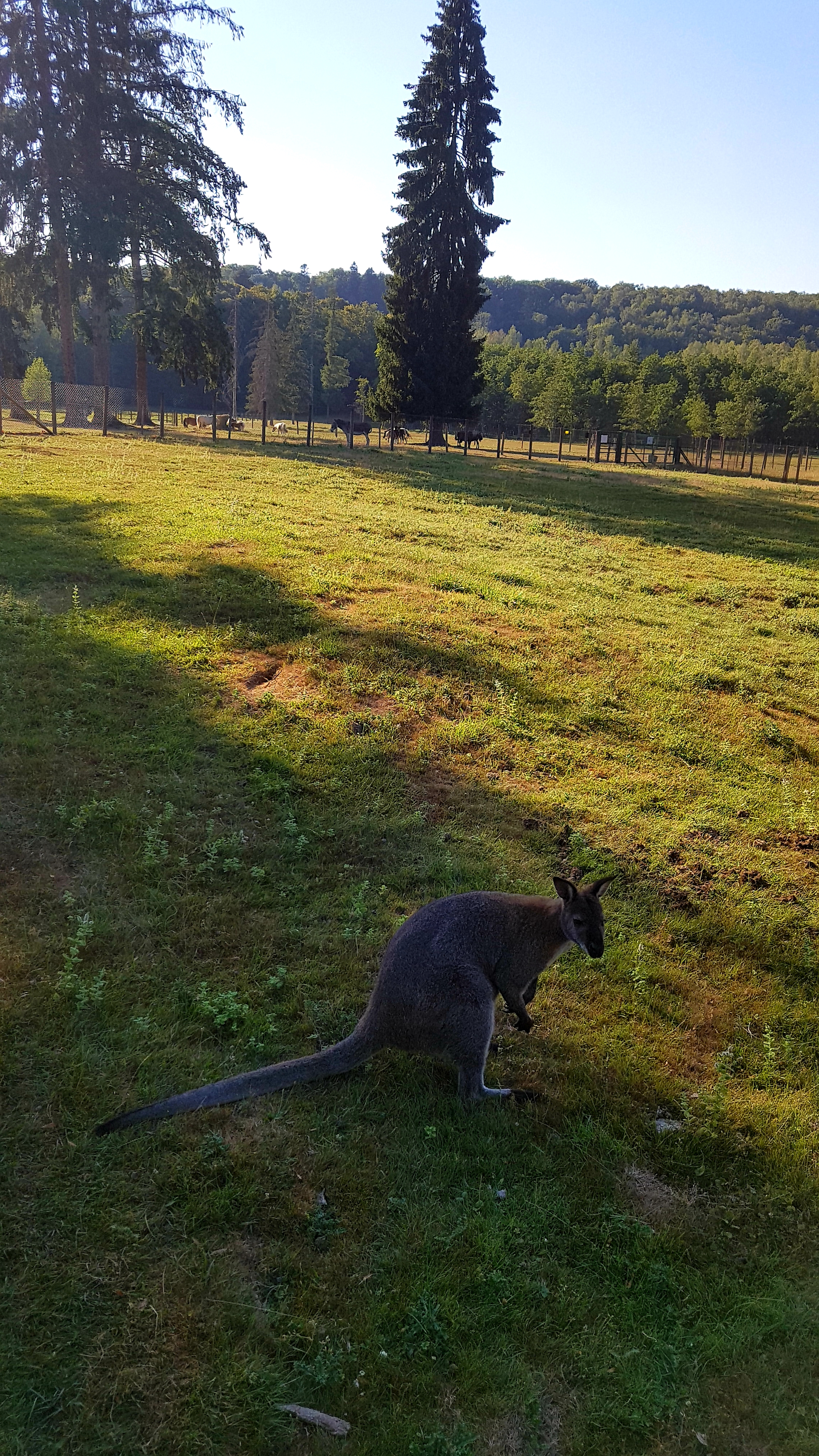 Photo n° 4 de l'avis de L.i fait le 02/08/2020 à 17:56