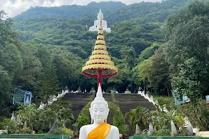 Wat Thep Phithak Punnaram image