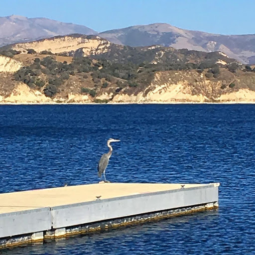 Park «Mountain Creek Lake Park Pavilion», reviews and photos, 2402 Cardiff St, Grand Prairie, TX 75051, USA