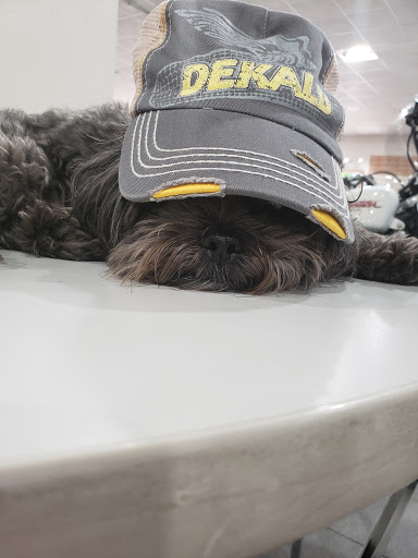 Motorcycle Dealer «Struthers Bros Kawasaki-Suzuki-Triumph», reviews and photos, 5191 NW 2nd St, Des Moines, IA 50313, USA