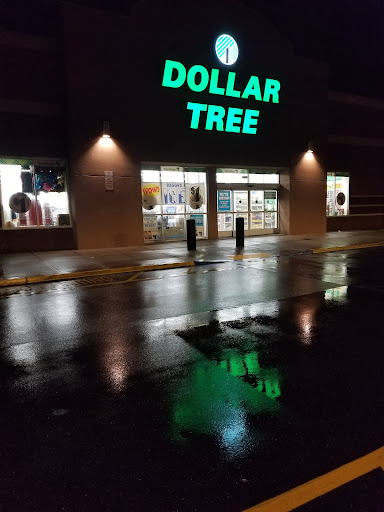 Dollar Tree image 4