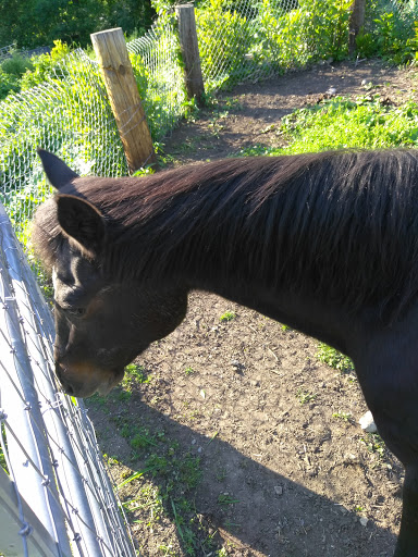 Farm «B & B Flower Farm», reviews and photos, 668 Jones Hill Rd, West Haven, CT 06516, USA