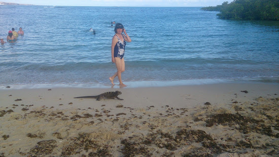 Playa los alemanes