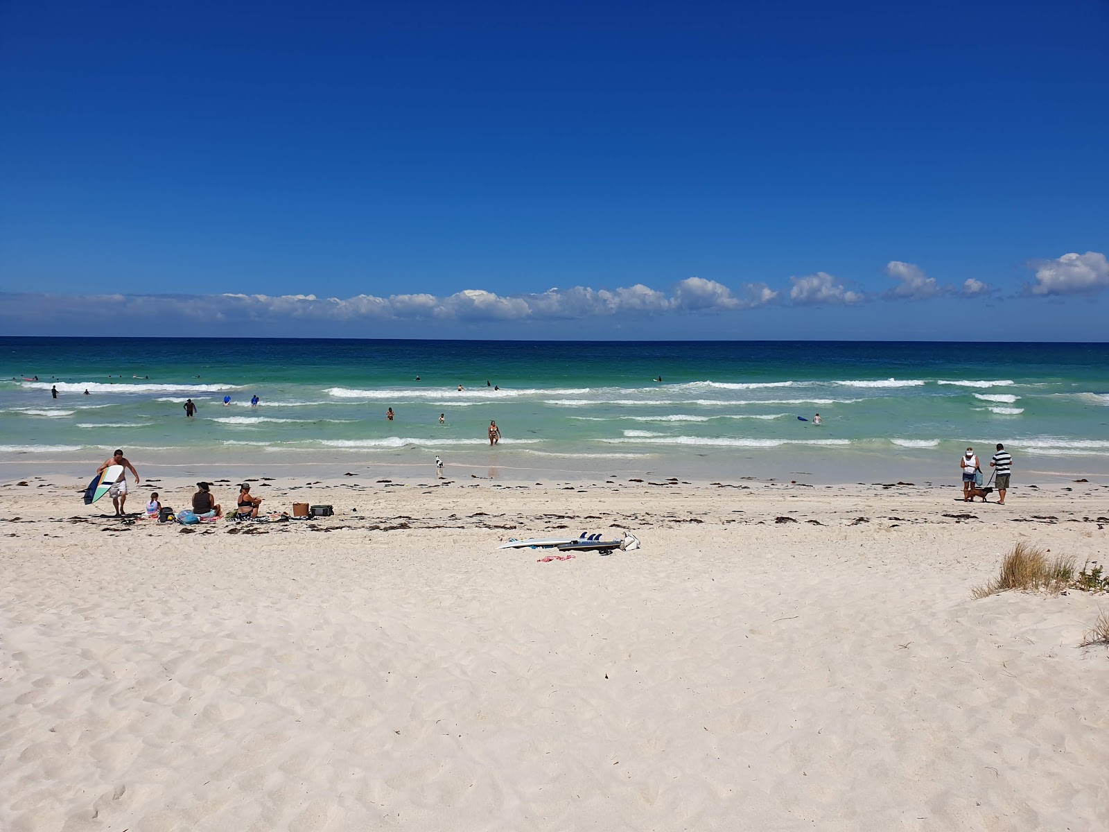 Back Beach Lancelin的照片 具有非常干净级别的清洁度