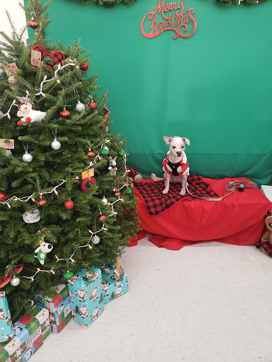 Pet Supply Store «Petco Animal Supplies», reviews and photos, 1049 S Willow St, Manchester, NH 03103, USA