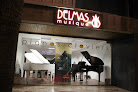 Delmas Musique Perpignan