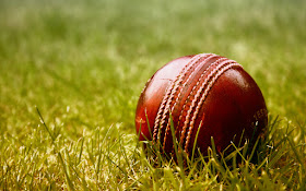 Wero Sports Cricket - Tauranga