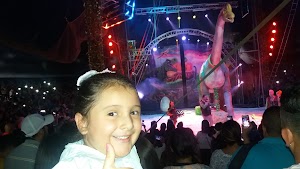 Cancha de Arrayanes - photo 1