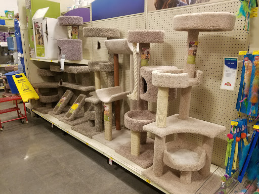 Pet Supply Store «PetSmart», reviews and photos, 4654 Milestone Ln, Castle Rock, CO 80104, USA