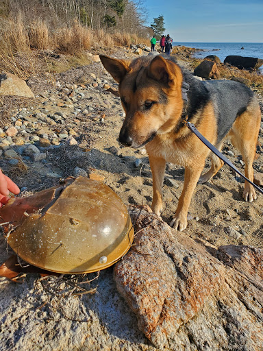State Park «Nasketucket Bay State Reservation», reviews and photos, Brandt Island Rd,, Mattapoisett, MA 02739, USA