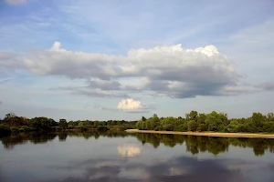 Pripyat River image