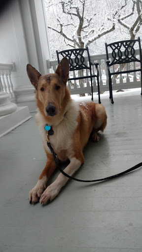 Museum «National Baseball Hall of Fame and Museum», reviews and photos, 25 Main St, Cooperstown, NY 13326, USA