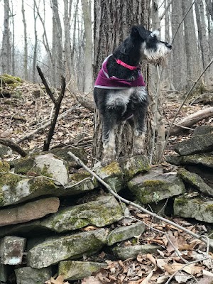Rolin T Grant Gulf Wilderness Park - photo 31