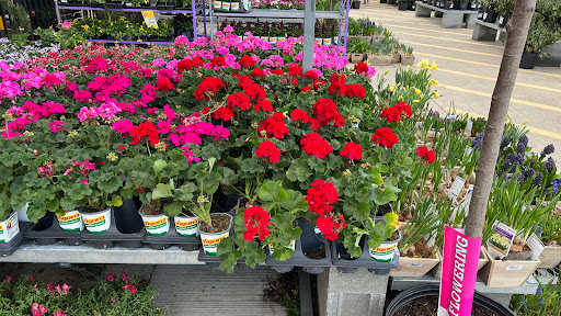 Home Improvement Store «The Home Depot», reviews and photos, 6501 W Broad St, Richmond, VA 23230, USA