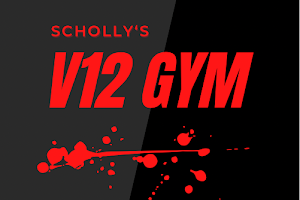 Scholly’s V12 Gym image