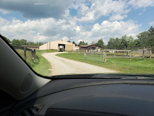Crystal Falls Stables
