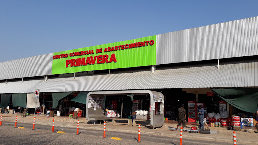 Mercado Primavera