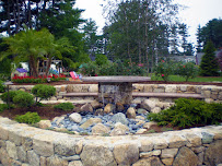 Shady Tree Landscaping - Photo 7 - Car repair in Norwood, MA, Brockton