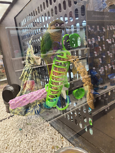 Pet Supply Store «PetSmart», reviews and photos, 2641 Lawndale Dr, Greensboro, NC 27408, USA