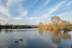 Hainault Forest image