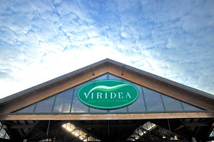 Viridea Garden Center Settimo Torinese (TO) image