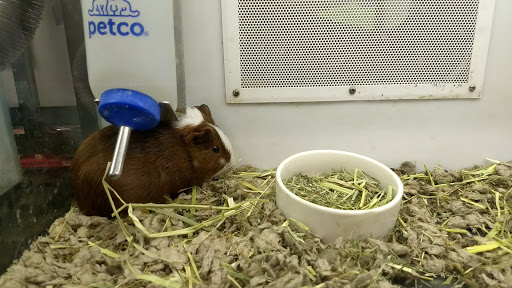 Pet Supply Store «Petco Animal Supplies», reviews and photos, 3731 Gateway Dr, Eau Claire, WI 54701, USA