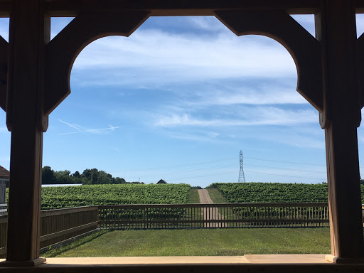 Winery «Dablon Vineyards & Winery», reviews and photos, 111 W Shawnee Rd, Baroda, MI 49101, USA