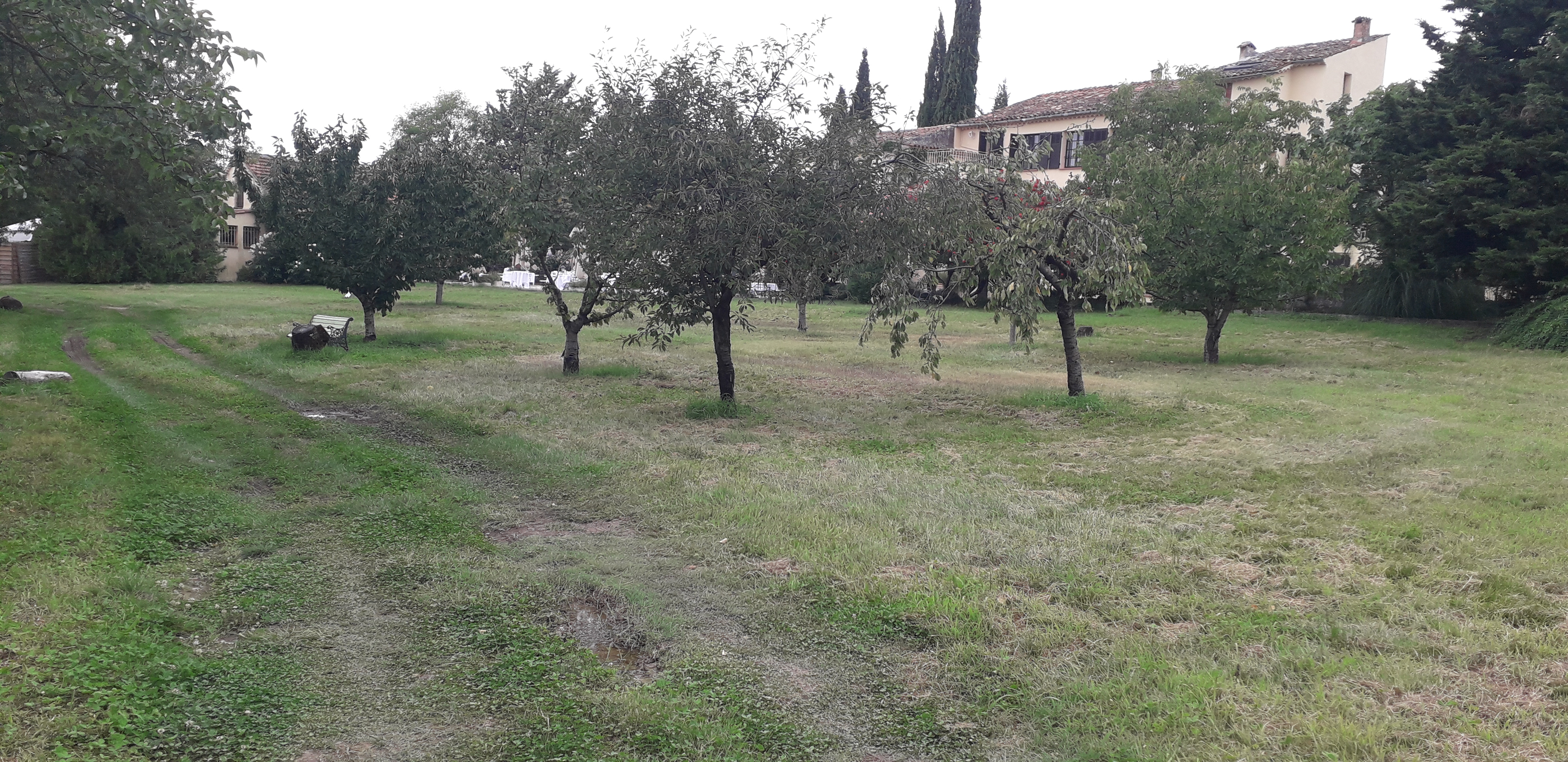 Photo n° 8 de l'avis de Nisajo.o fait le 19/08/2020 à 20:41