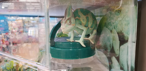 Pet Supply Store «Petco Animal Supplies», reviews and photos, 106 N Denton Tap Rd #310, Coppell, TX 75019, USA