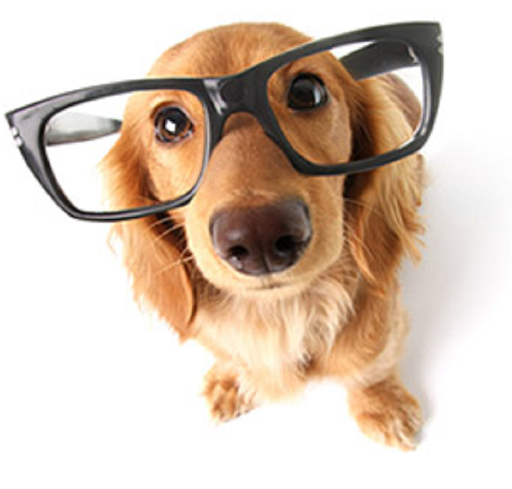 Optometrist «Archdale Eyecare», reviews and photos, 7095 Lexington Dr, Colorado Springs, CO 80918, USA