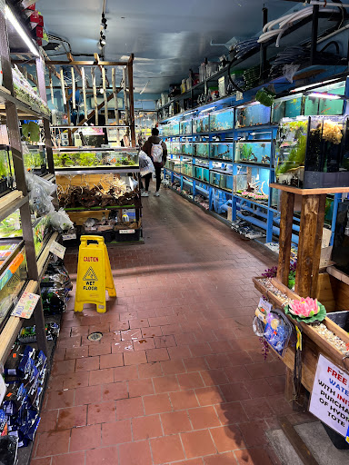 Aquarium «Pacific Aquarium & Plant Inc», reviews and photos, 46 Delancey St #1, New York, NY 10002, USA