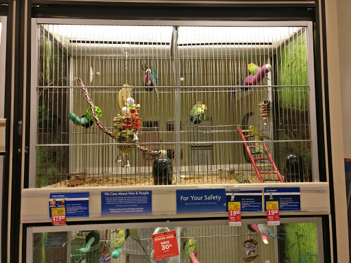 Bird shop Edmonton