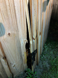 Tri-County Septic Services - Photo 8 - Car repair in Orange City, FL, Deltona