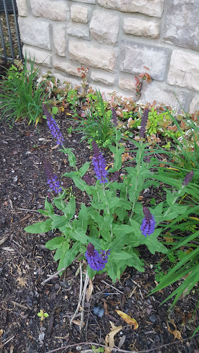 Day Care Center «Kids R Kids Johns Creek Parkway», reviews and photos, 3835 Johns Creek Pkwy, Johns Creek, GA 30024, USA