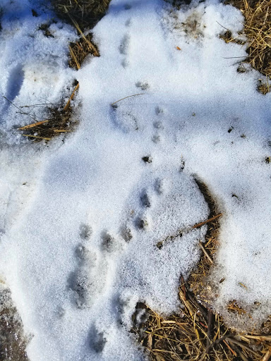 Park «Wehr Nature Center», reviews and photos, 9701 W College Ave, Franklin, WI 53132, USA
