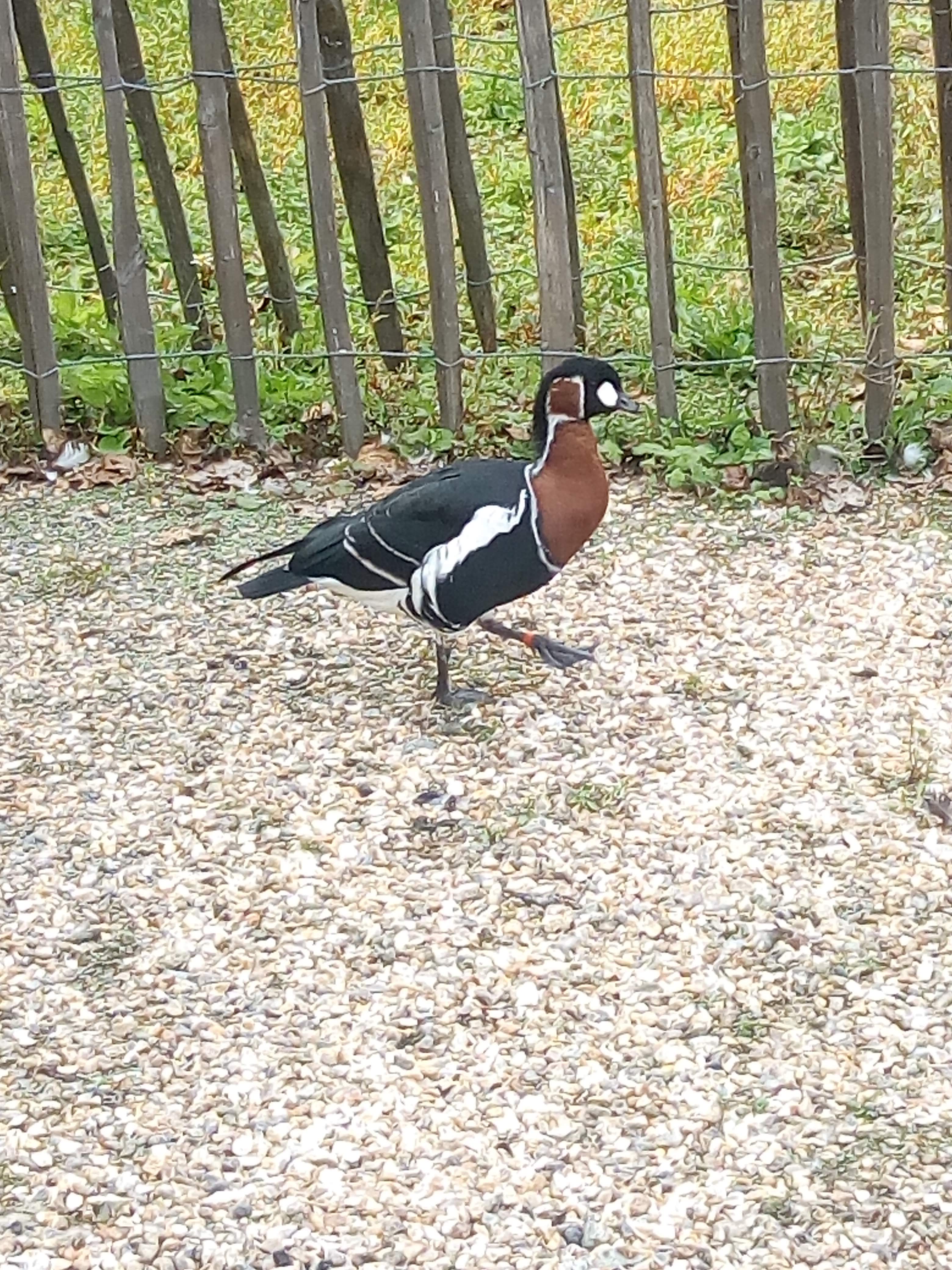 Photo n° 2 de l'avis de France.u fait le 11/10/2018 à 15:31