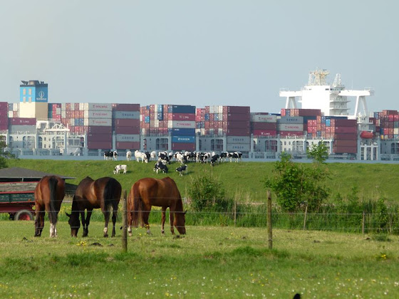 Photos du propriétaire Ferienwohnung Ferienhaus 